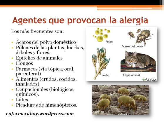 alergias-provocan